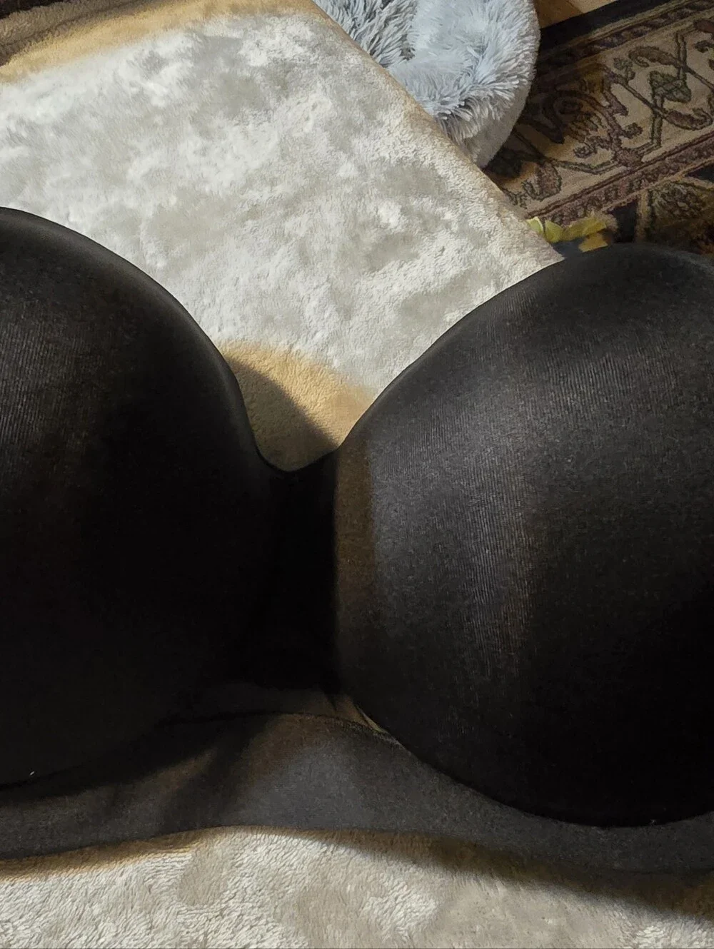 Cacique lane bryant